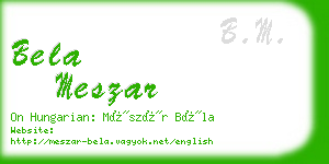 bela meszar business card